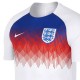 Camiseta entreno pre-match seleccion Inglaterra 2018/19 - Nike