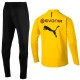 BVB Borussia Dortmund training technical suit 2018/19 - Puma