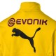 BVB Borussia Dortmund training bench tracksuit 2018/19 - Puma