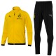 BVB Borussia Dortmund training bench tracksuit 2018/19 - Puma