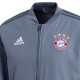 Bayern Munich training presentation tracksuit 2018/19 - Adidas