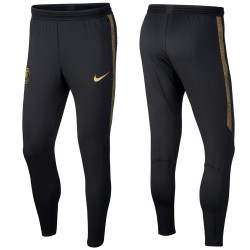 Inter Mailand Tech Trainingshose 2019/20 - Nike