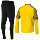 BVB Borussia Dortmund training technical tracksuit 2019/20 - Puma