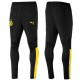 BVB Borussia Dortmund tech trainingsanzug 2019/20 - Puma