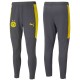 Borussia Dortmund grey training technical tracksuit 2020/21 - Puma