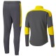 Borussia Dortmund grey training technical tracksuit 2020/21 - Puma