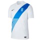 Greece national team Home football shirt 2020/21 - Nike