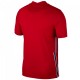 Norway national team Home football shirt 2020/21 - Nike