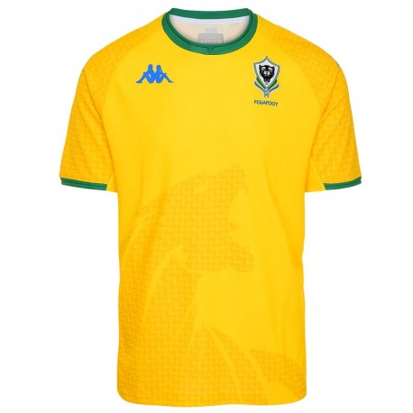 Gabon maillot de foot domicile 2021/22 - Kappa