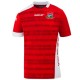 Maillot de foot Nationale Gambie domicile 2020/21 - Saller