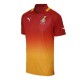 Ghana Soccer Jersey 2011/12 Away by Puma