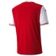 Austria national team Home football shirt 2020/21 - Puma