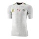 Algeria Soccer Jersey 2011/13 Home by Puma