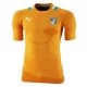 Ivory Coast Soccer Jersey 2011/13 Home-Puma