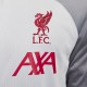 Liverpool tuta rappresentanza grigia cappuccio 2023 - Nike