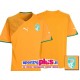 Maglia Nazionale Calcio Costa d'Avorio 2009/11 by Puma World Cup