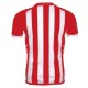 Camiseta de fútbol Sporting Gijón Casa 2012/13-Kappa