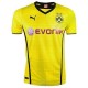 BVB Borussia Dortmund Home shirt 2013/14 Lewandowski 9-Puma