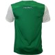 Hibernian Edinburgh Home football shirt 2013/14 - Nike