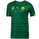 Cameroon Home football shirt 2014/15 - Puma