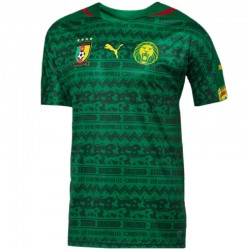 Kamerun-Startseite Fußball Trikot 2014/15 - Puma