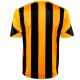 Hull City AFC Home soccer jersey 2013/14 - Adidas