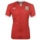 Soccer Jersey 2011/12 Wales Home by Umbro