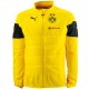 BVB Borussia Dortmund Training Sweat Top 2014/15 gelb - Puma