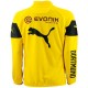 Sweat technique d'entrainement Borussia Dortmund BVB 2014/15 jaune - Puma