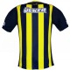 Fenerbahce Home football shirt 2012/13 Player Issue - Adidas