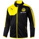 Borussia Dortmund training tech jacket 2015/16 - Puma