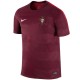 Portugal football team pre-match training shirt 2016/17 - Nike