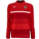 Sudadera roja de entreno seleccion Austria 2016 - Puma