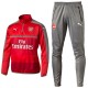 Arsenal FC technical training tracksuit 2016/17 - Puma