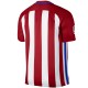 Atletico Madrid fußball trikot Home 2016/17 - Nike