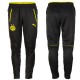 Borussia Dortmund technical Trainingsanzug 2016/17 - Puma