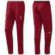 Bayern Munich UCL training technical pants 2016/17 - Adidas