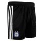 National Argentina Home Shorts shorts 2010/12-Adidas