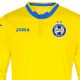 Bate Borisov Home football shirt 2016/17 - Joma