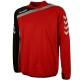 Hummel Teamwear Tech-2 technical training sweatshirt - red