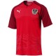 Maillot de foot Autriche domicile 2018/19 - Puma